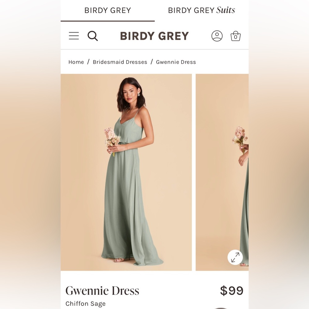 Birdy Grey Chiffon Sage Gwennie Dress